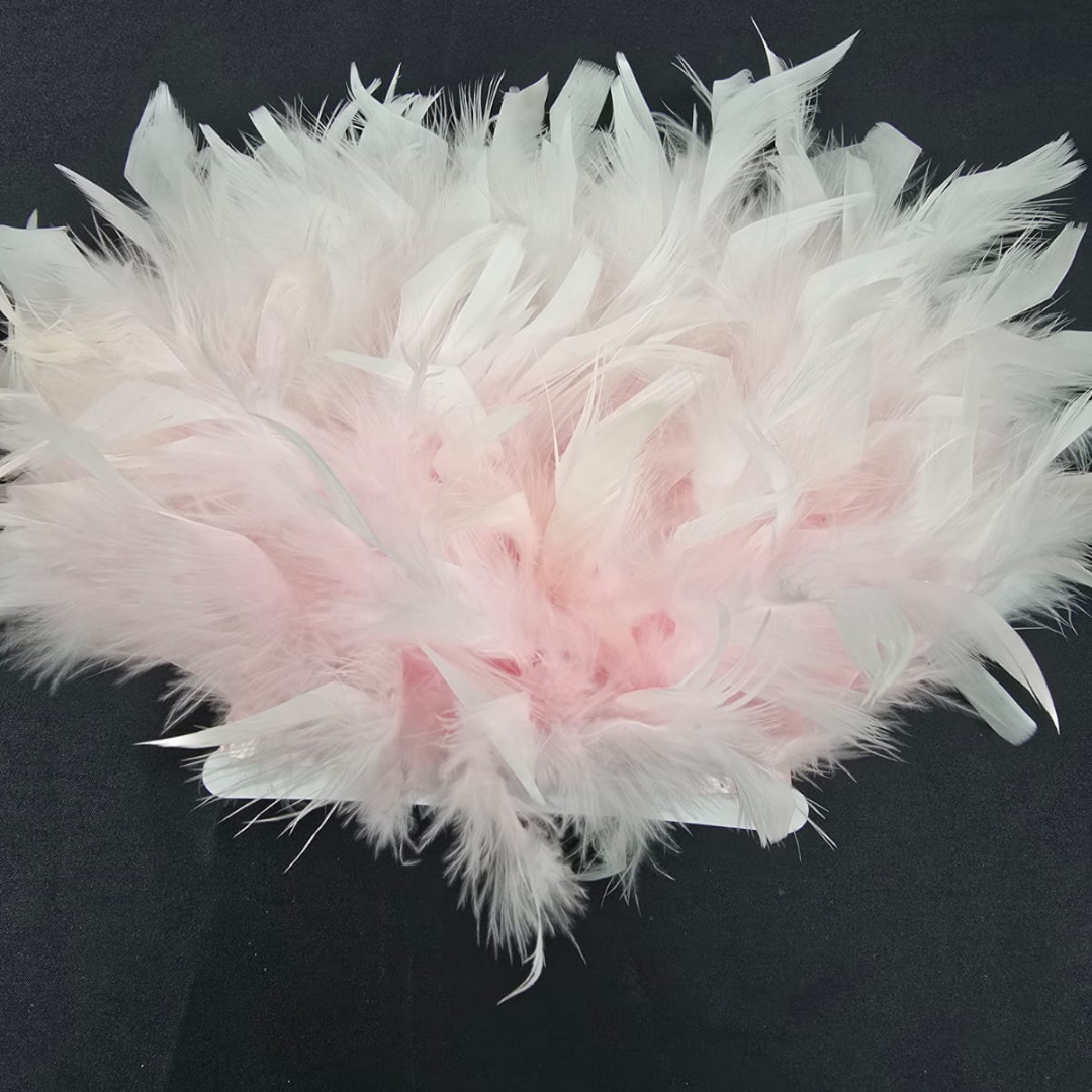 PENE DE GASCA (BOUA)