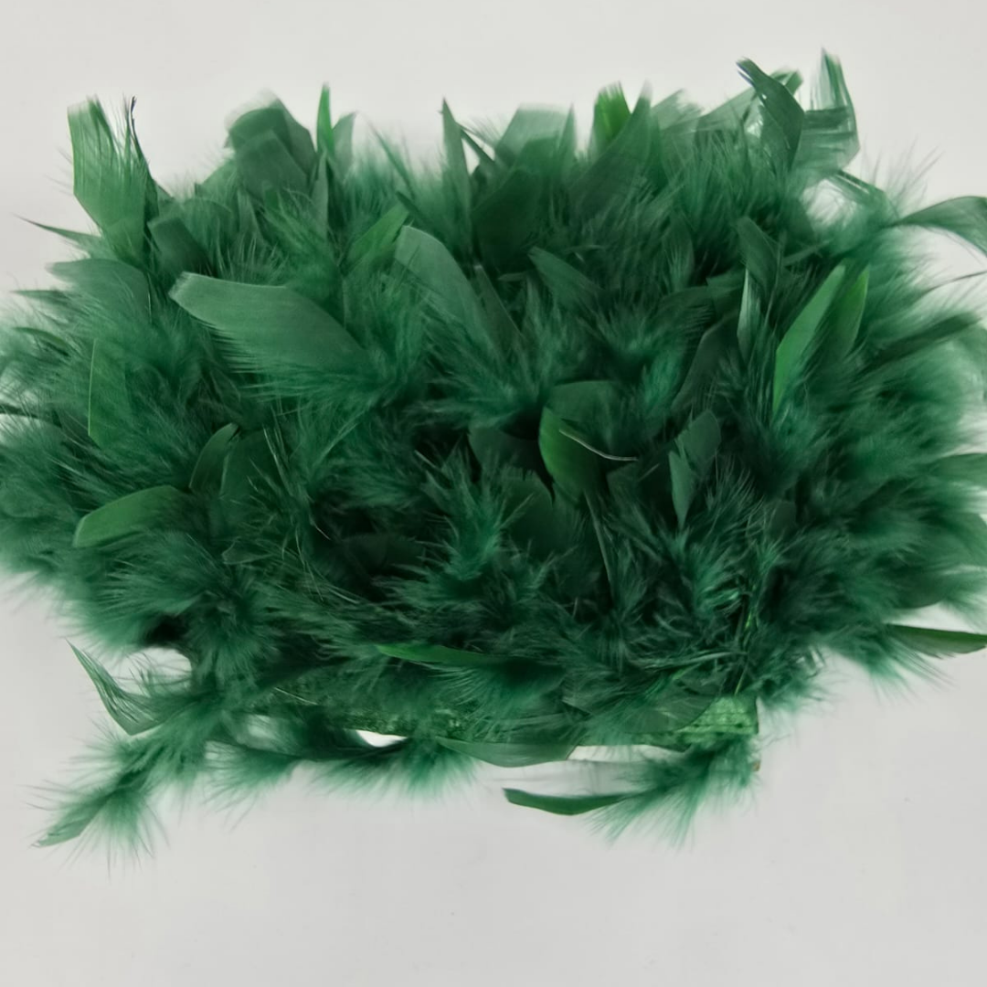 PENE DE GASCA (BOUA)