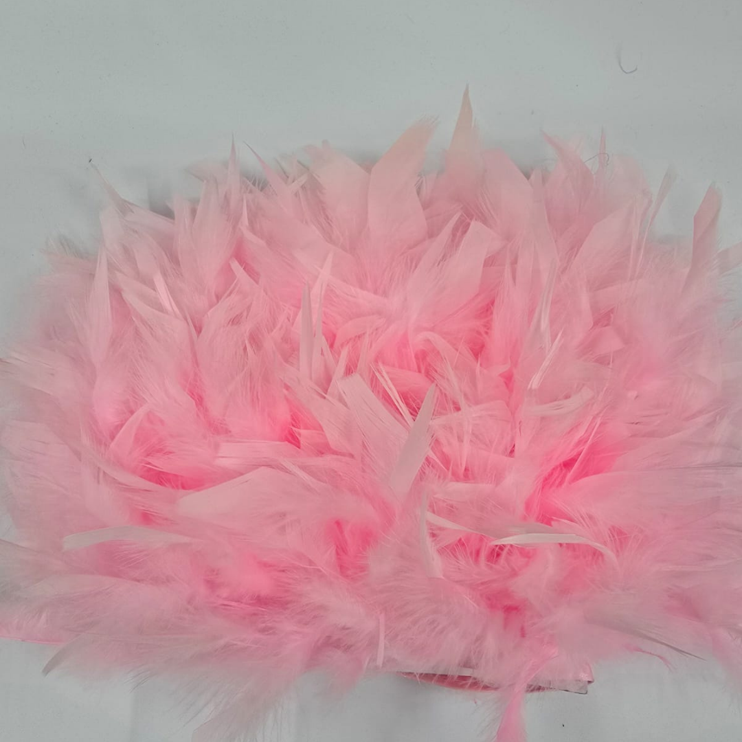 PENE DE GASCA (BOUA)