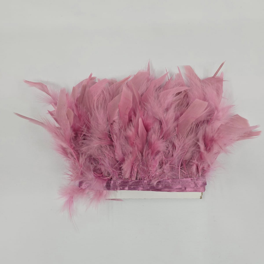 PENE DE GASCA (BOUA)