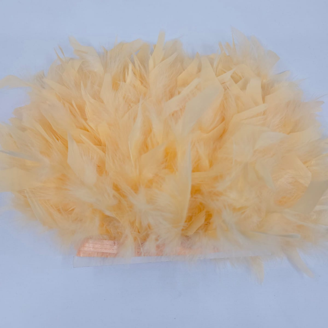 PENE DE GASCA (BOUA)